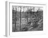 Allied Command Post on Mount Kemmel Near Ypres, Belgium, 23 April 1918-null-Framed Giclee Print