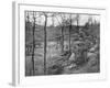 Allied Command Post on Mount Kemmel Near Ypres, Belgium, 23 April 1918-null-Framed Giclee Print