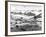 Allied Forces at a Beach in Normandy-null-Framed Photographic Print