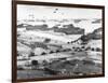 Allied Forces at a Beach in Normandy-null-Framed Photographic Print