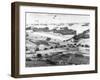 Allied Forces at a Beach in Normandy-null-Framed Photographic Print