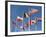 Allied Forces Flags Flying at War Landing Beaches, Calvados, Normandy, France-Guy Thouvenin-Framed Photographic Print