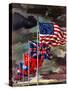 "Allied Forces Flags," July 3, 1943-John Atherton-Stretched Canvas