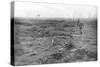 Allied Troops at the Yser Canal, Belgium, 31 July 1917-null-Stretched Canvas