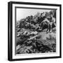 Allied Troops WWI-Robert Hunt-Framed Photographic Print