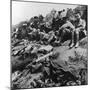 Allied Troops WWI-Robert Hunt-Mounted Photographic Print