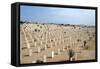 Allied War Cemetery, El Alamein, Egypt-Vivienne Sharp-Framed Stretched Canvas