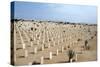 Allied War Cemetery, El Alamein, Egypt-Vivienne Sharp-Stretched Canvas