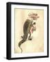 Alligator 1873 'Missing Links' Parade Costume Design-Charles Briton-Framed Giclee Print