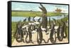 Alligator Chorus in New Orleans, Louisiana-null-Framed Stretched Canvas