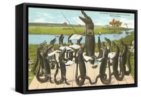 Alligator Chorus in New Orleans, Louisiana-null-Framed Stretched Canvas
