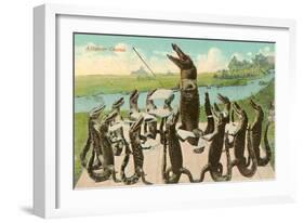 Alligator Chorus-null-Framed Art Print