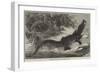 Alligator from Sumatra, for the Brighton Aquarium-Johann Baptist Zwecker-Framed Premium Giclee Print