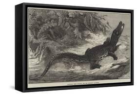 Alligator from Sumatra, for the Brighton Aquarium-Johann Baptist Zwecker-Framed Stretched Canvas