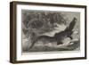 Alligator from Sumatra, for the Brighton Aquarium-Johann Baptist Zwecker-Framed Giclee Print