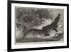 Alligator from Sumatra, for the Brighton Aquarium-Johann Baptist Zwecker-Framed Giclee Print