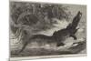 Alligator from Sumatra, for the Brighton Aquarium-Johann Baptist Zwecker-Mounted Giclee Print