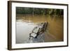 Alligator, Honey Island Swamp, Louisiana-Paul Souders-Framed Photographic Print