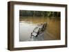 Alligator, Honey Island Swamp, Louisiana-Paul Souders-Framed Photographic Print