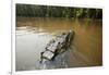 Alligator, Honey Island Swamp, Louisiana-Paul Souders-Framed Photographic Print