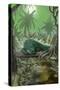 Alligator in Swamp-Lantern Press-Stretched Canvas
