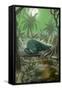 Alligator in Swamp-Lantern Press-Framed Stretched Canvas
