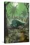 Alligator in Swamp-Lantern Press-Stretched Canvas