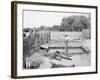 Alligator Joe and His Pets, Palm Beach, Fla.-null-Framed Photo