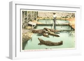 Alligator Joe, Palm Beach, Florida-null-Framed Art Print