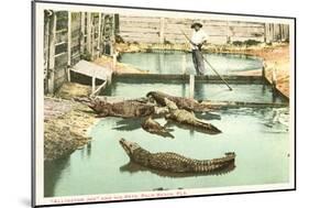 Alligator Joe, Palm Beach, Florida-null-Mounted Art Print