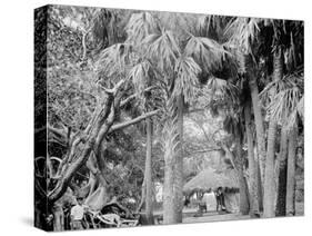 Alligator Joes Bungalow, Palm Beach, Fla.-null-Stretched Canvas