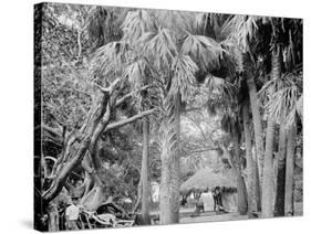 Alligator Joes Bungalow, Palm Beach, Fla.-null-Stretched Canvas