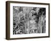 Alligator Joes Bungalow, Palm Beach, Fla.-null-Framed Photo