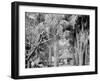 Alligator Joes Bungalow, Palm Beach, Fla.-null-Framed Photo