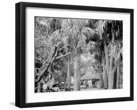 Alligator Joes Bungalow, Palm Beach, Fla.-null-Framed Photo