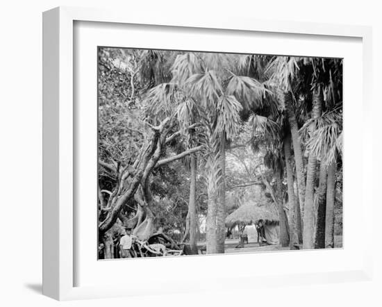 Alligator Joes Bungalow, Palm Beach, Fla.-null-Framed Photo