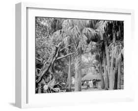 Alligator Joes Bungalow, Palm Beach, Fla.-null-Framed Photo