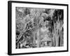 Alligator Joes Bungalow, Palm Beach, Fla.-null-Framed Photo