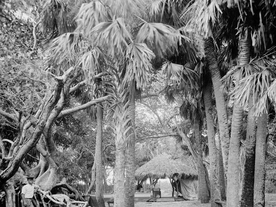 Photo, , large