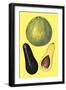 Alligator Pears-null-Framed Art Print