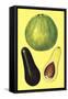Alligator Pears-null-Framed Stretched Canvas
