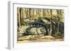 Alligator Rock, Haines Falls, Catskills Mountains, New York-null-Framed Art Print