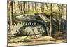 Alligator Rock, Haines Falls, Catskills Mountains, New York-null-Mounted Art Print