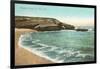 Alligator Rock, La Jolla Cove, San Diego, California-null-Framed Art Print