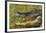 Alligator-DLILLC-Framed Photographic Print