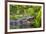 Alligator-Dennis Goodman-Framed Photographic Print