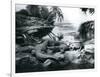 Alligators, in a Panorama Setting, at London Zoo, 1928-Frederick William Bond-Framed Photographic Print