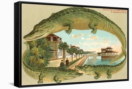 Alligators, Sea Wall, St. Augustine, Florida-null-Framed Stretched Canvas