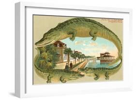 Alligators, Sea Wall, St. Augustine, Florida-null-Framed Art Print