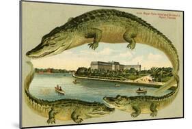 Alligators Surrounding the Royal Palm Hotel, C.1908-null-Mounted Giclee Print